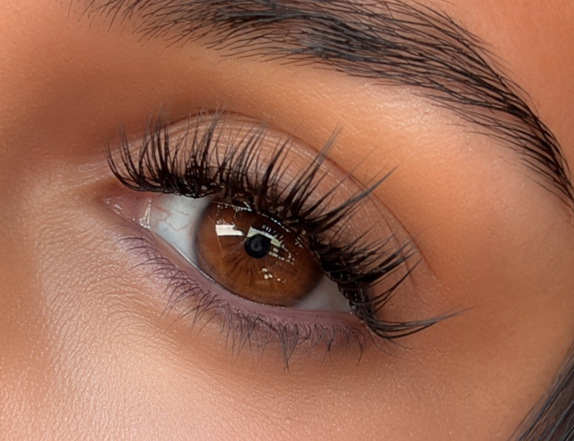 SPRINKLE Bold Dramatic False Lashes