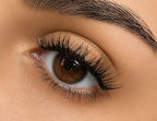 LANA Short Natural False Lashes
