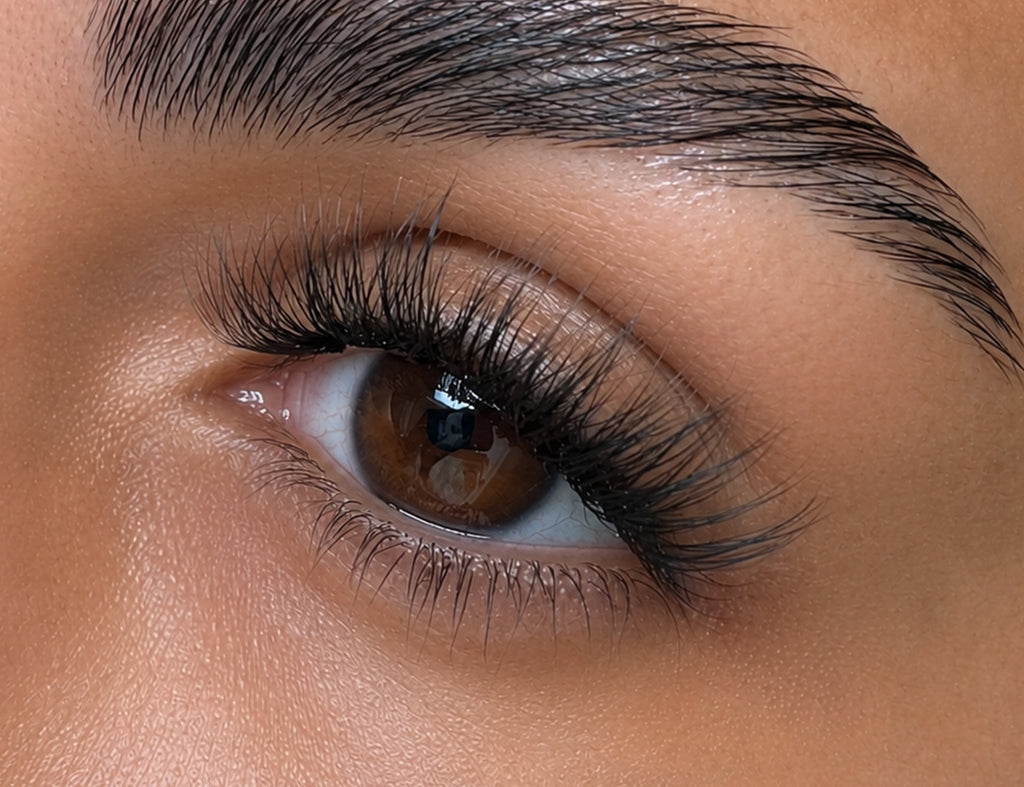 AURORA Full Wispy False Lashes